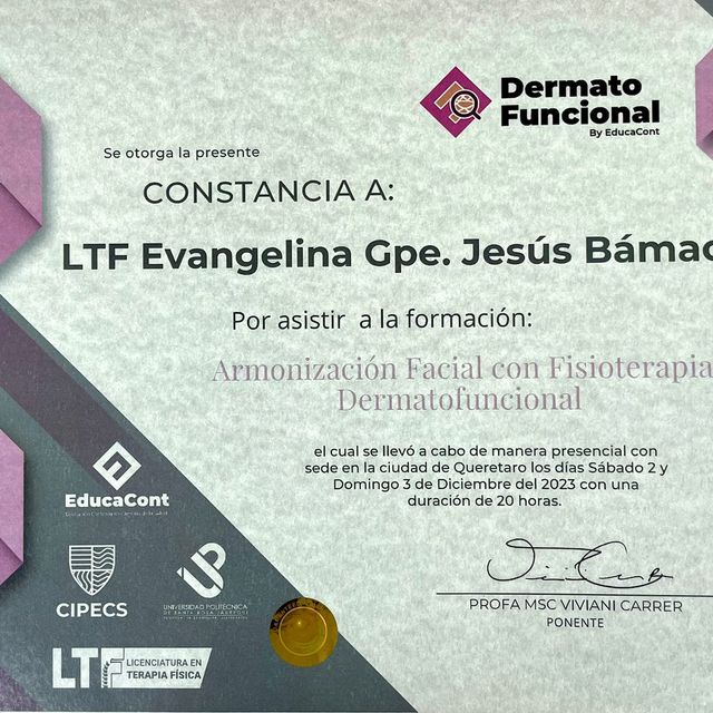Ampliar imagen: certificate 4
