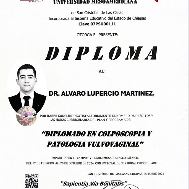 Ampliar imagen: certificate 2
