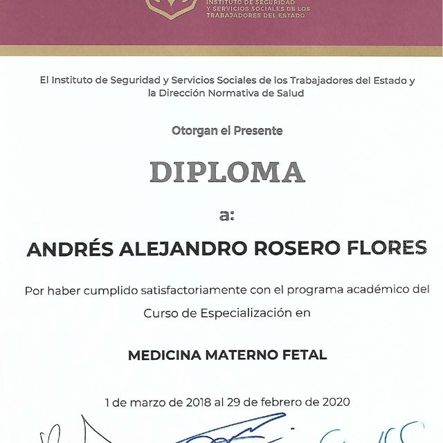 Ampliar imagen: certificate 4