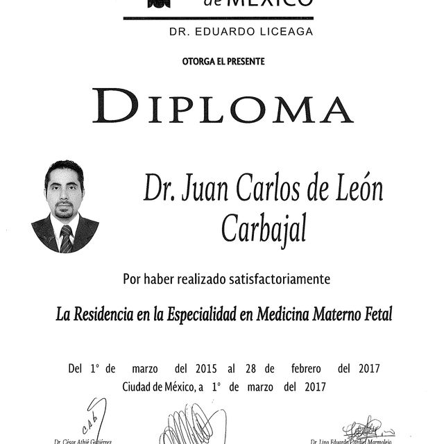 Ampliar imagen: certificate 6