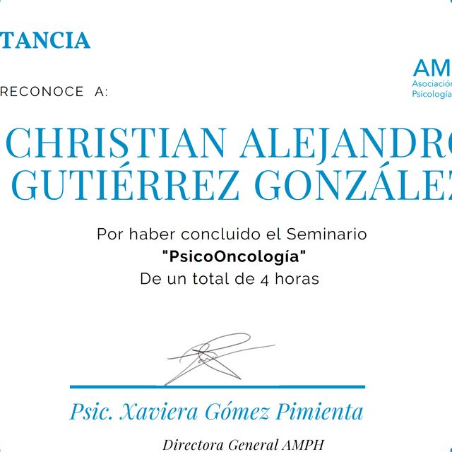 Ampliar imagen: certificate 13