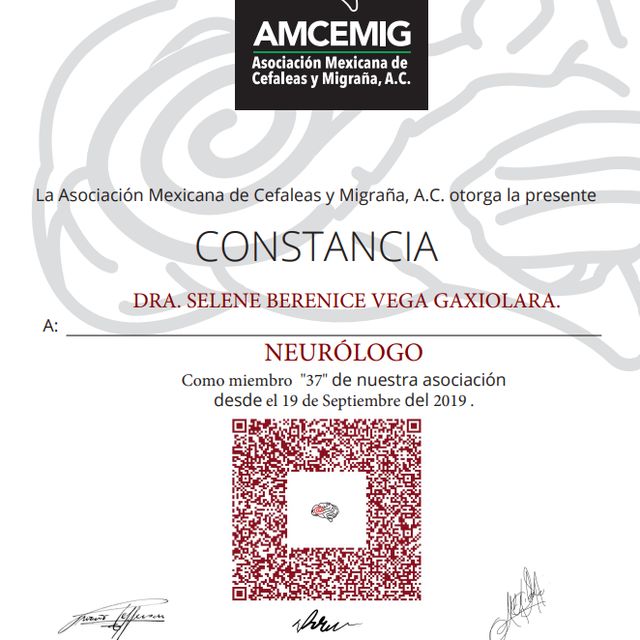 Ampliar imagen: certificate 7