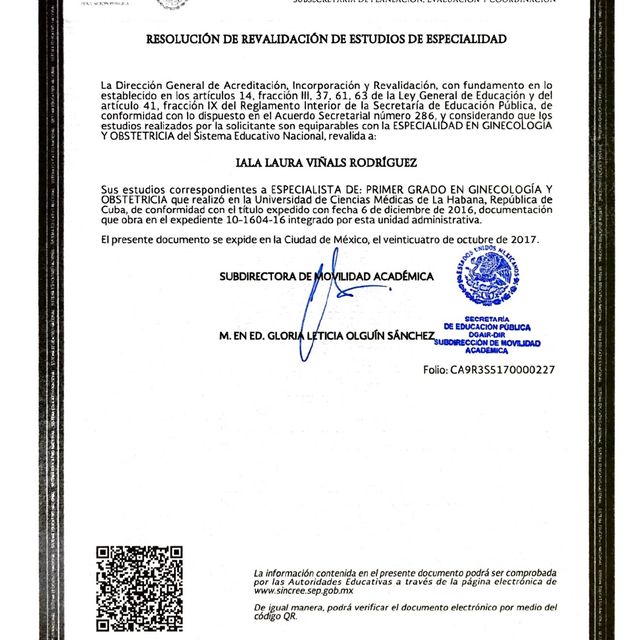 Ampliar imagen: certificate 5