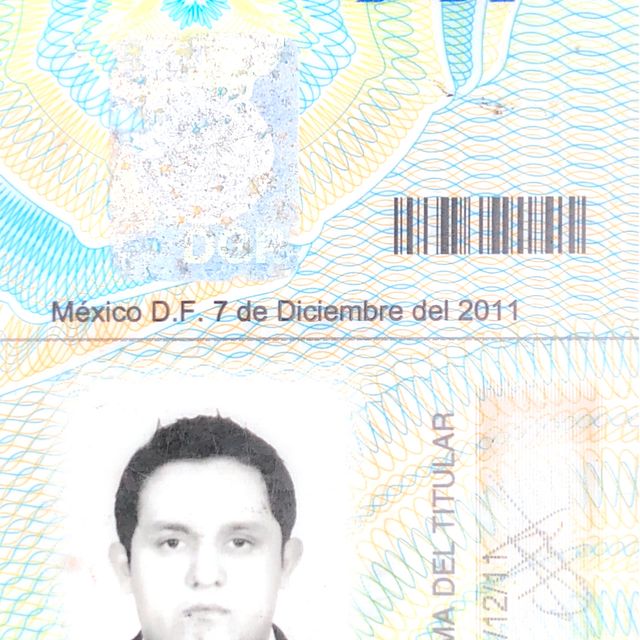 Ampliar imagen: certificate 4