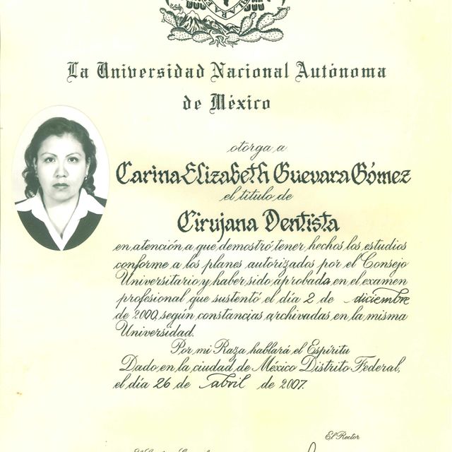Ampliar imagen: certificate 1