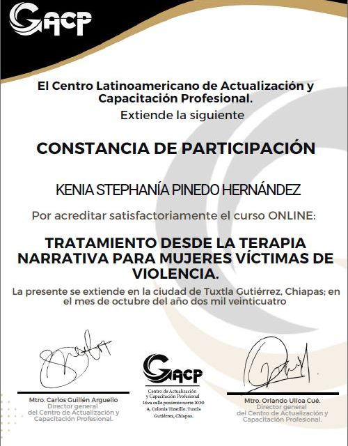 Ampliar imagen: certificate 1