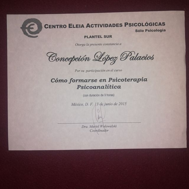 Ampliar imagen: certificate 20
