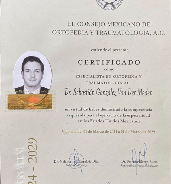 Ampliar imagen: certificate 1