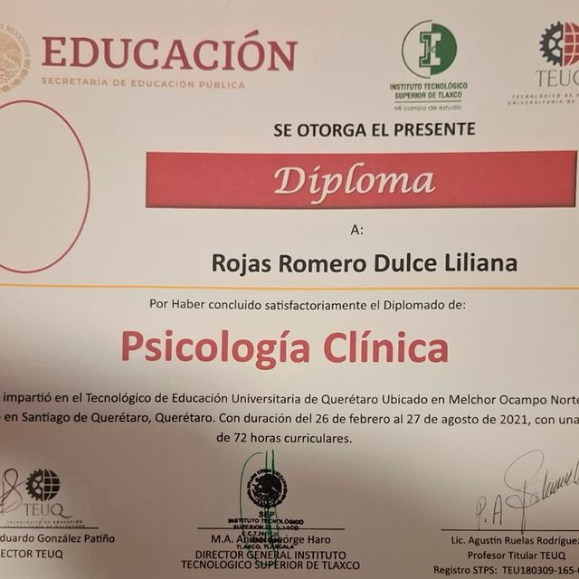 Ampliar imagen: certificate 5