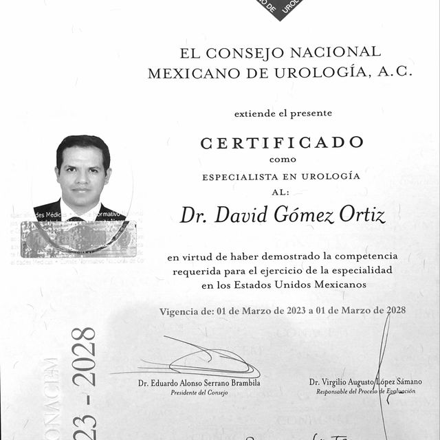 Ampliar imagen: certificate 4