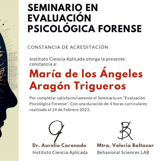 Ampliar imagen: certificate 6