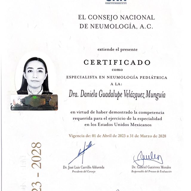 Ampliar imagen: certificate 2