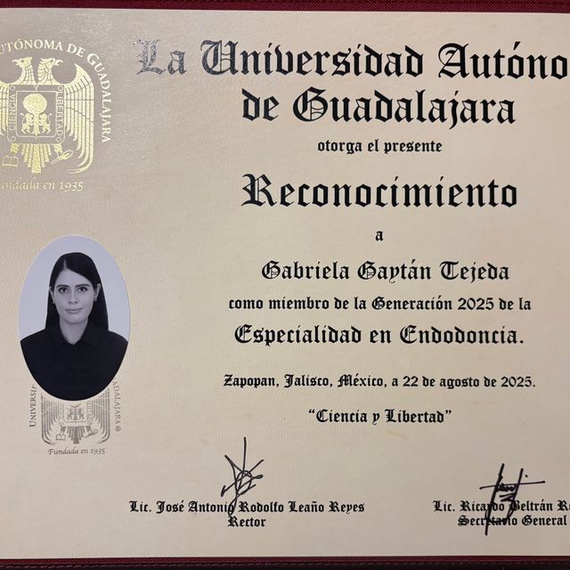 Ampliar imagen: certificate 2