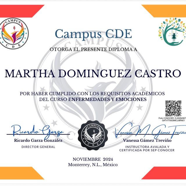 Ampliar imagen: certificate 4