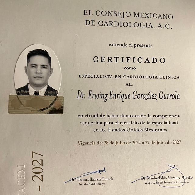 Ampliar imagen: certificate 1