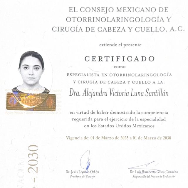 Ampliar imagen: certificate 3
