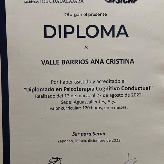 Ampliar imagen: certificate 1