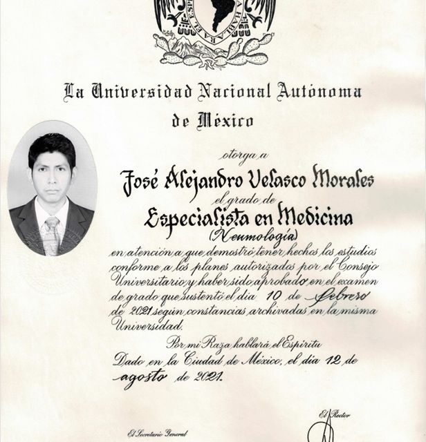 Ampliar imagen: certificate 2