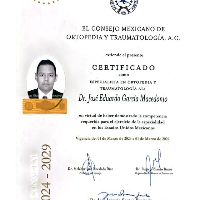 Ampliar imagen: certificate 1