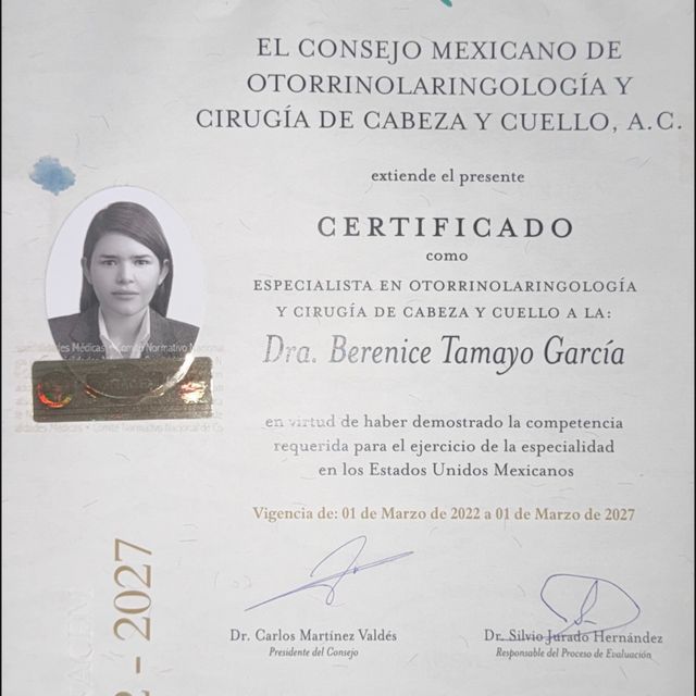 Ampliar imagen: certificate 5