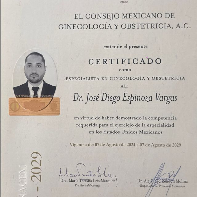 Ampliar imagen: certificate 1