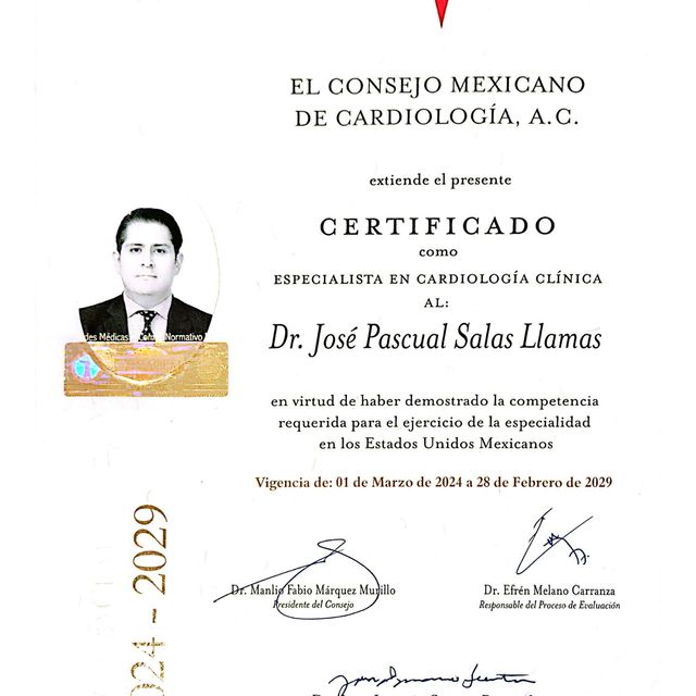 Ampliar imagen: certificate 2