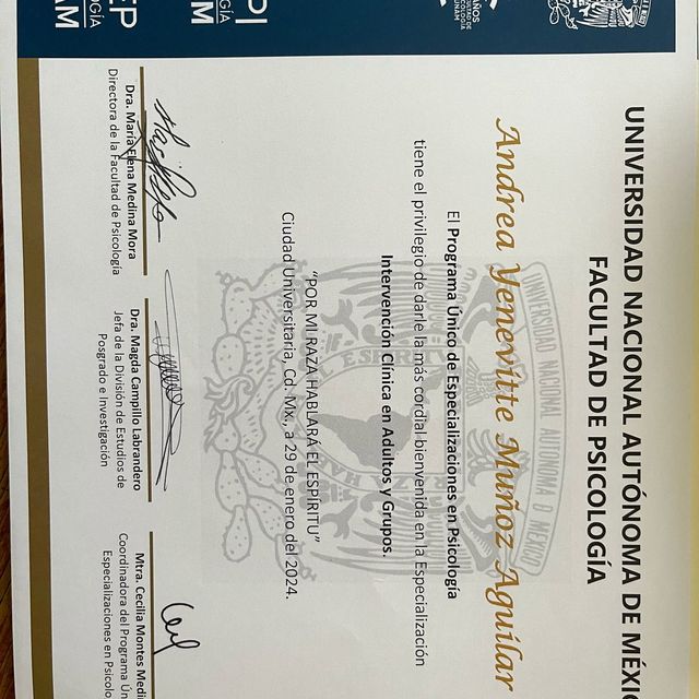 Ampliar imagen: certificate 1