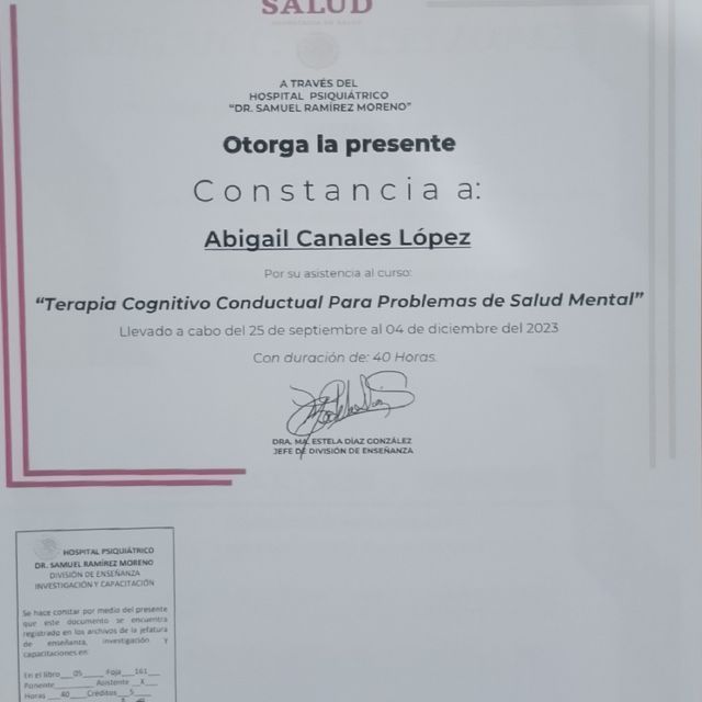 Ampliar imagen: certificate 3