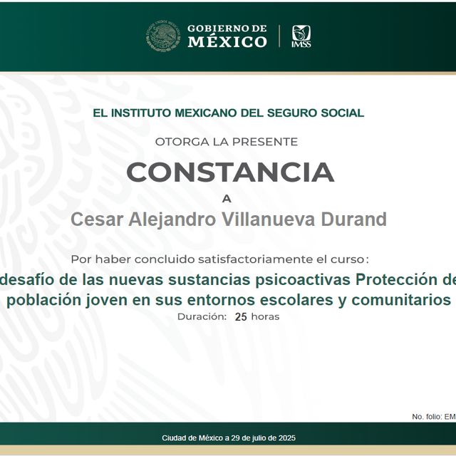 Ampliar imagen: certificate 2
