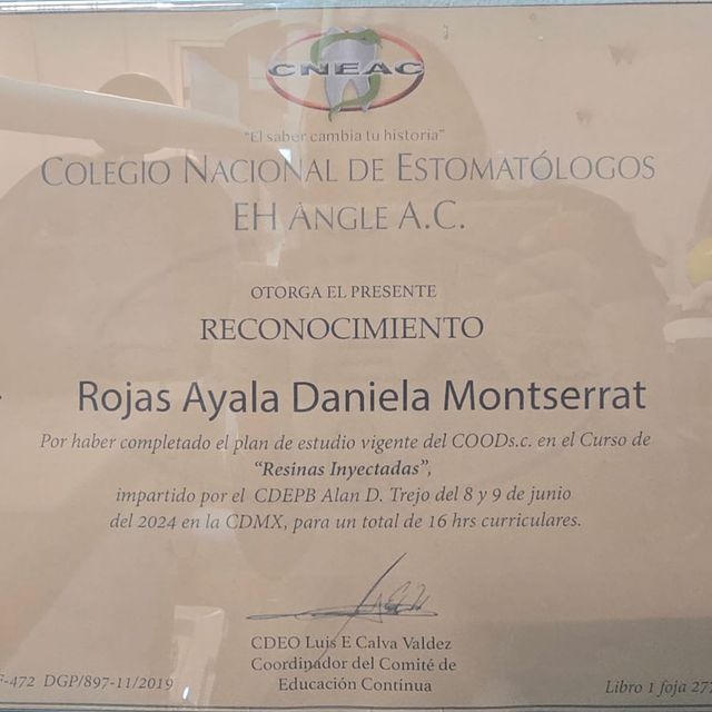 Ampliar imagen: certificate 13