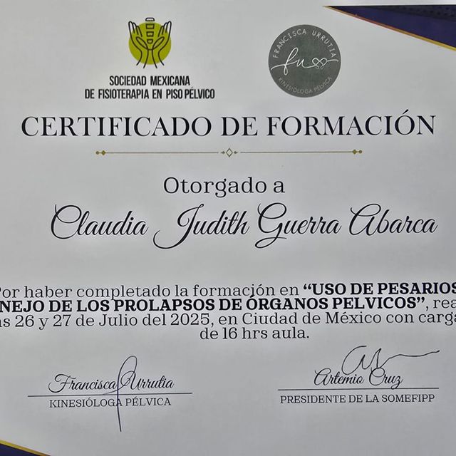 Ampliar imagen: certificate 5