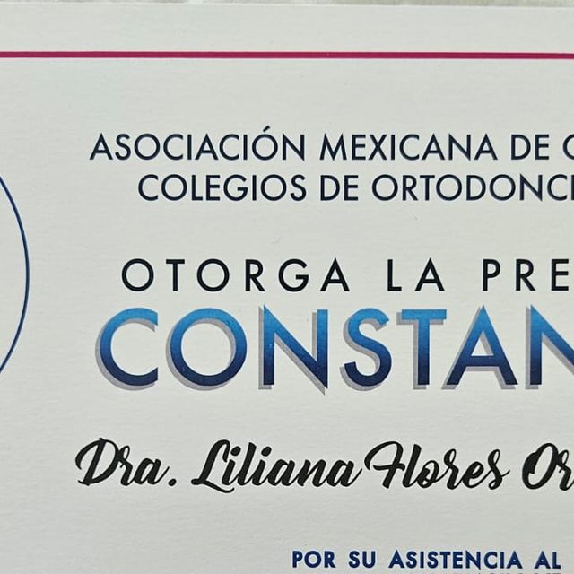 Ampliar imagen: certificate 3