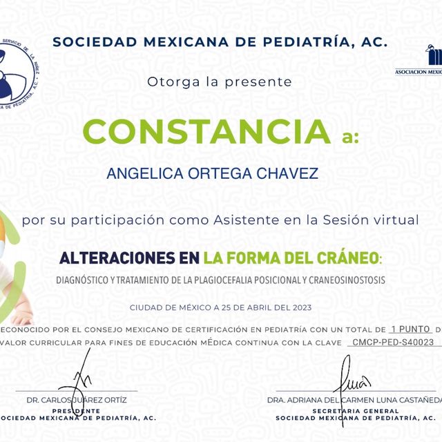 Ampliar imagen: certificate 8