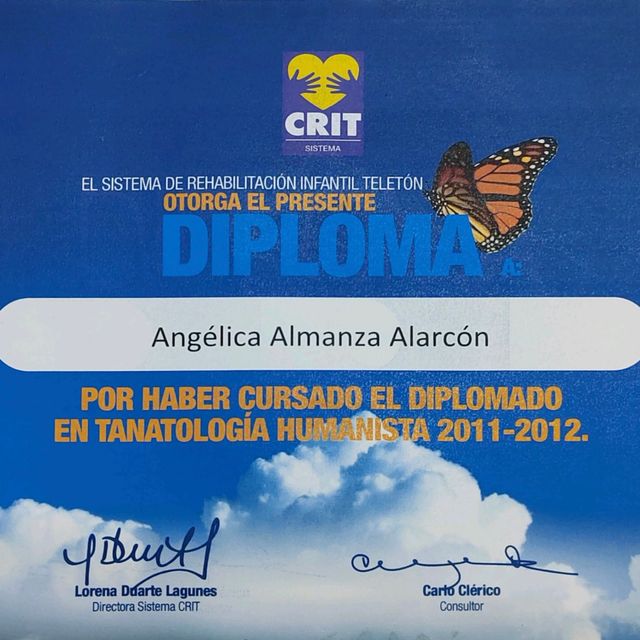 Ampliar imagen: certificate 4