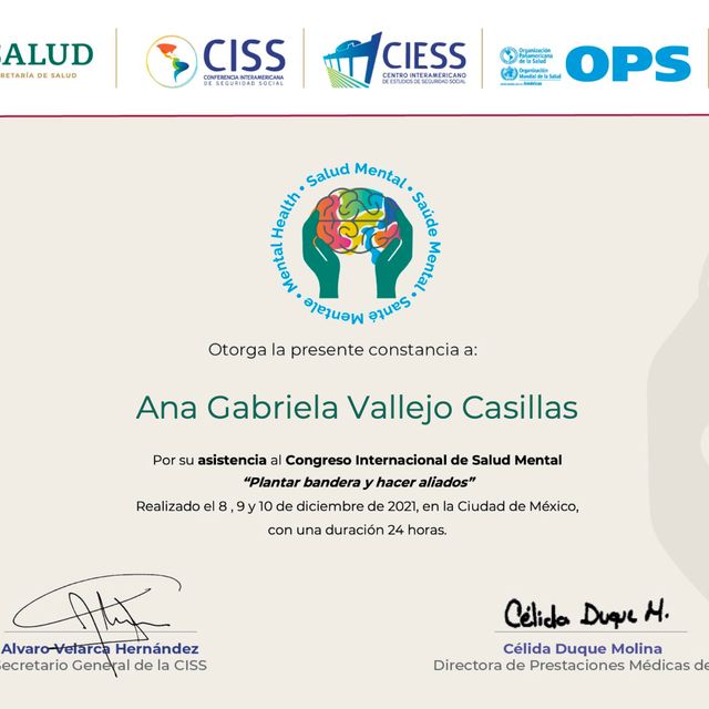Ampliar imagen: certificate 6