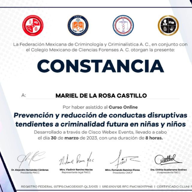 Ampliar imagen: certificate 18