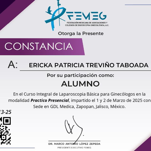 Ampliar imagen: certificate 5