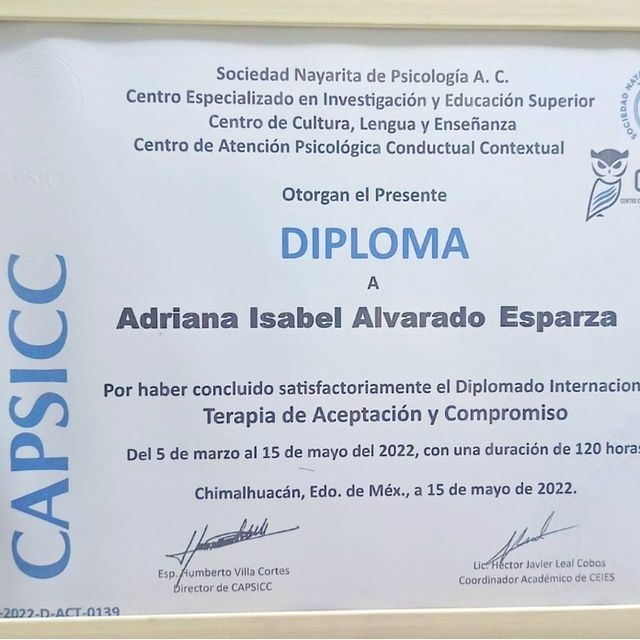 Ampliar imagen: certificate 2