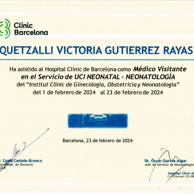 Ampliar imagen: certificate 2