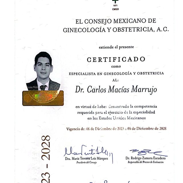 Ampliar imagen: certificate 2