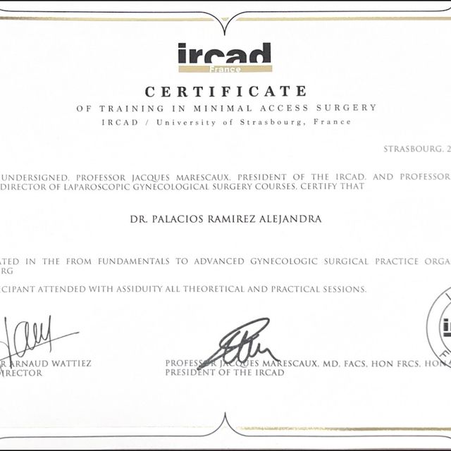 Ampliar imagen: certificate 3