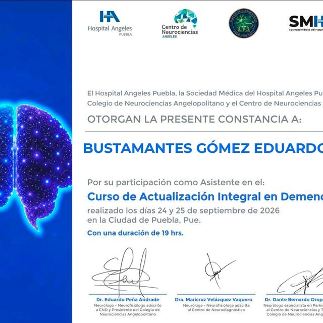 Ampliar imagen: certificate 3