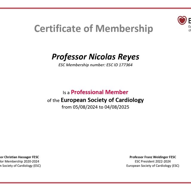 Ampliar imagen: certificate 2