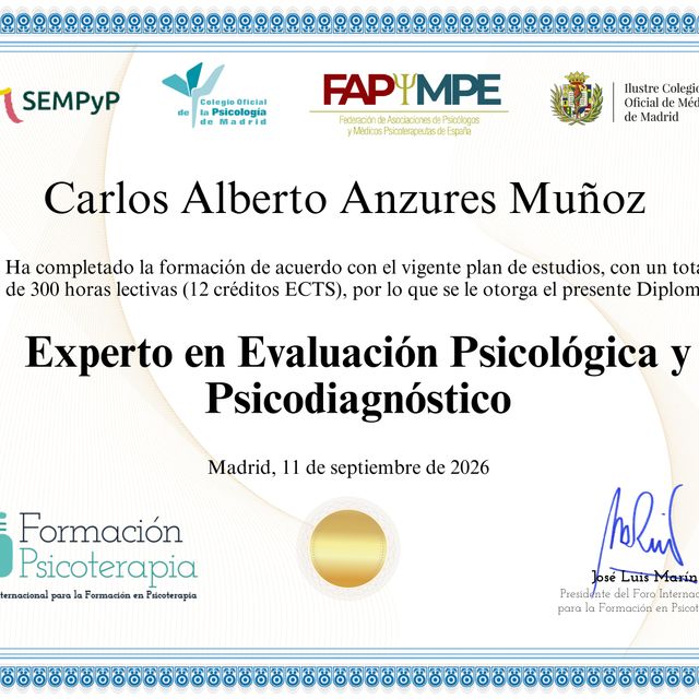 Ampliar imagen: certificate 23