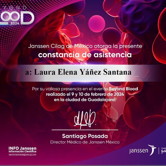 Ampliar imagen: certificate 19