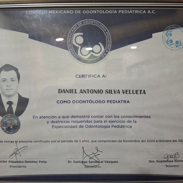 Ampliar imagen: certificate 2