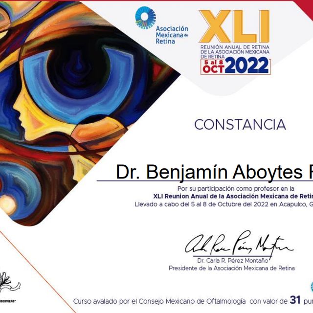 Ampliar imagen: certificate 7