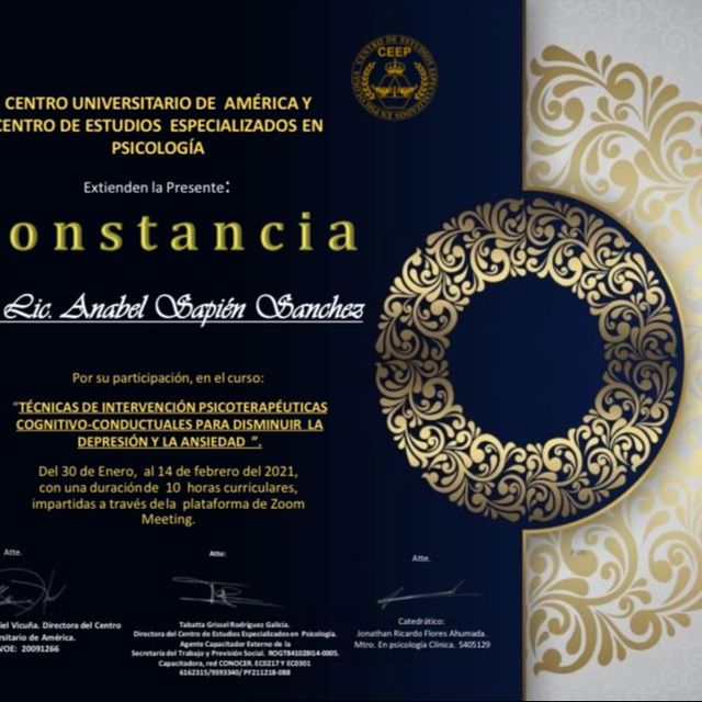 Ampliar imagen: certificate 5