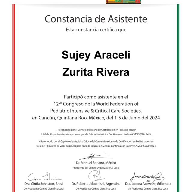 Ampliar imagen: certificate 13