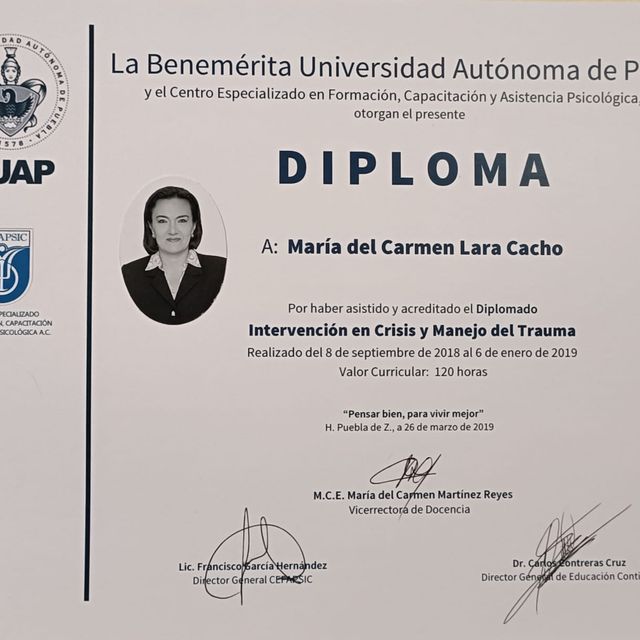 Ampliar imagen: certificate 3